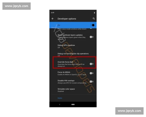 BlurOne软件下载与使用教程快速上手助你轻松优化图片编辑体验